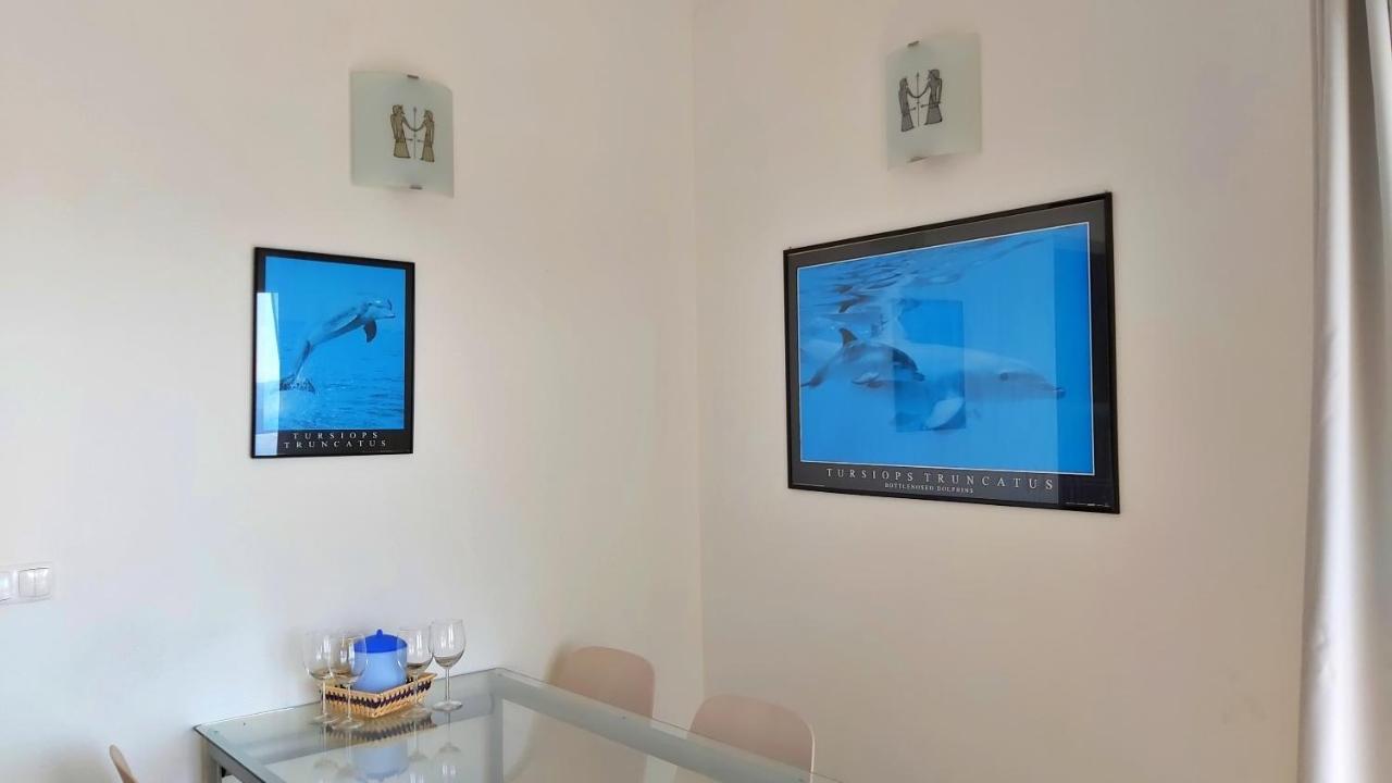 Apartments Borak オミシュ エクステリア 写真